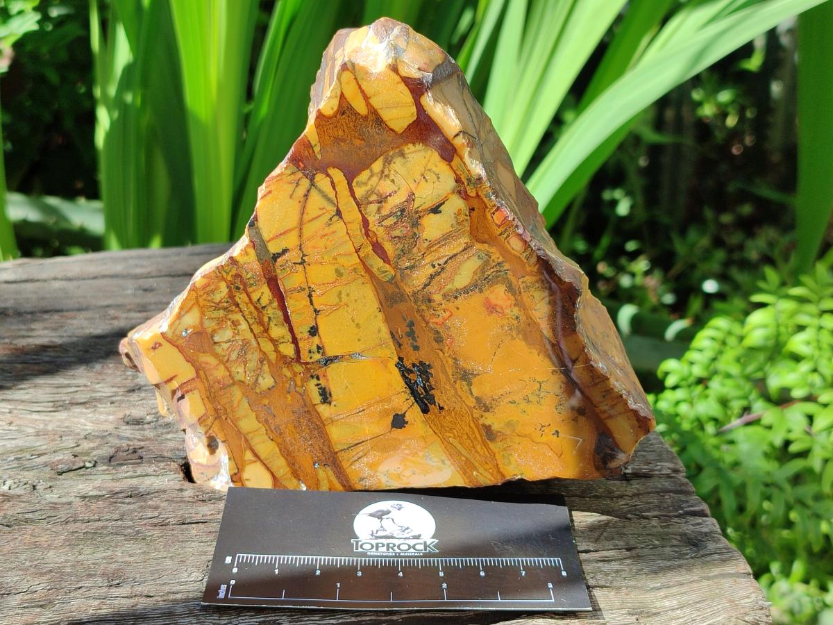 Polished On One Side Nguni Jasper Slices x 2 From Northern Cape, South Africa
