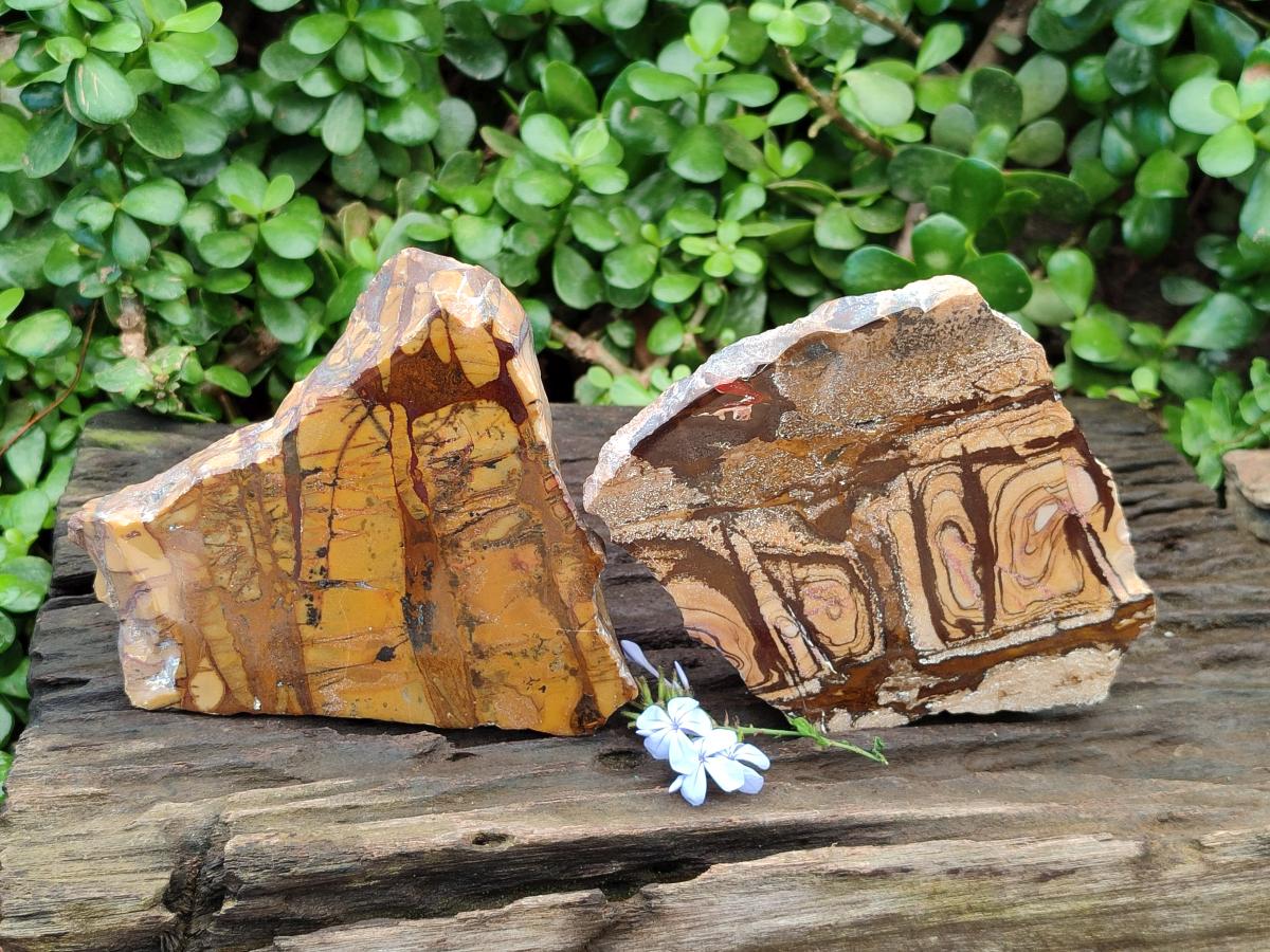 Polished On One Side Nguni Jasper Slices x 2 From Northern Cape, South Africa