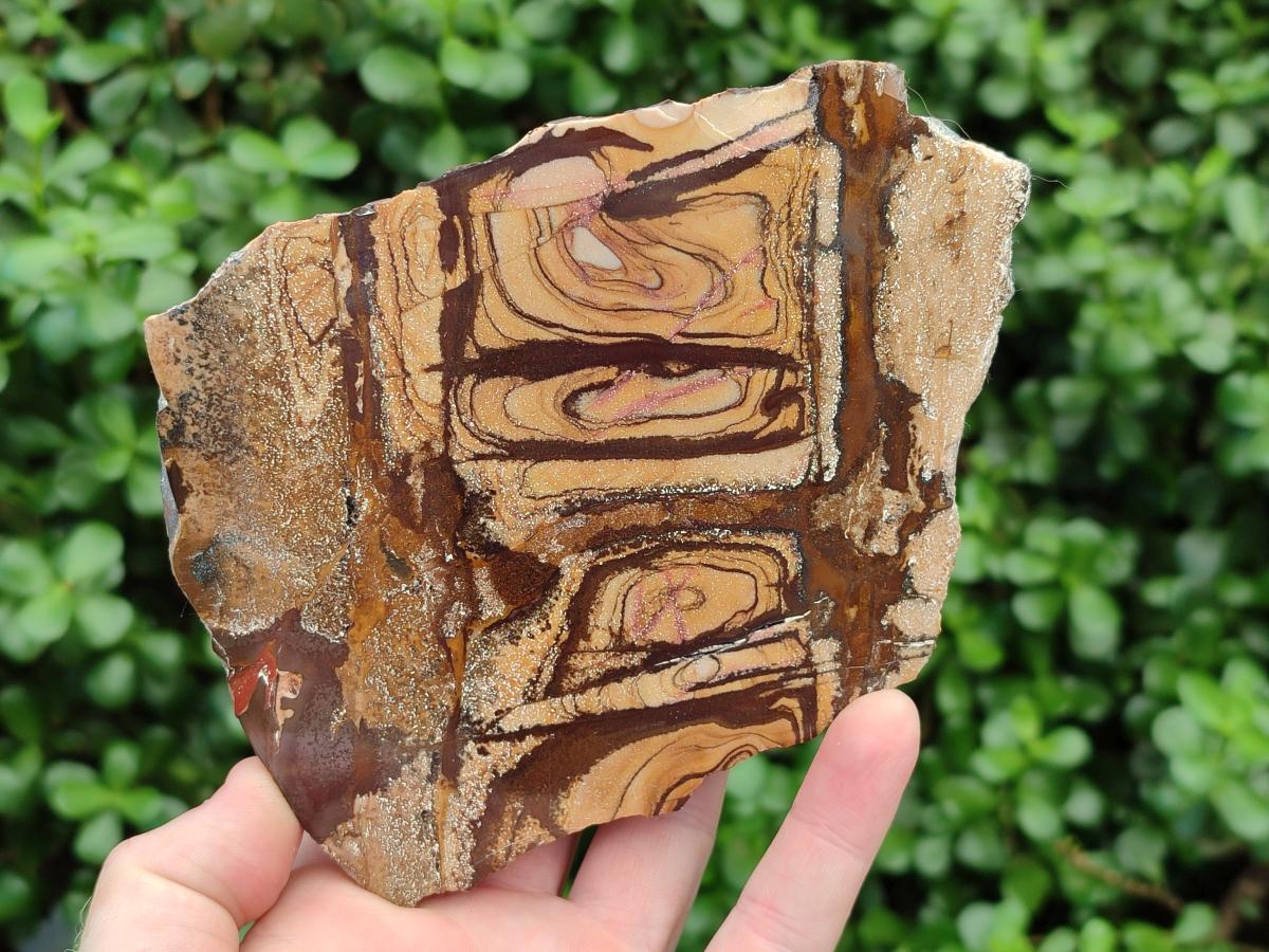 Polished On One Side Nguni Jasper Slices x 2 From Northern Cape, South Africa