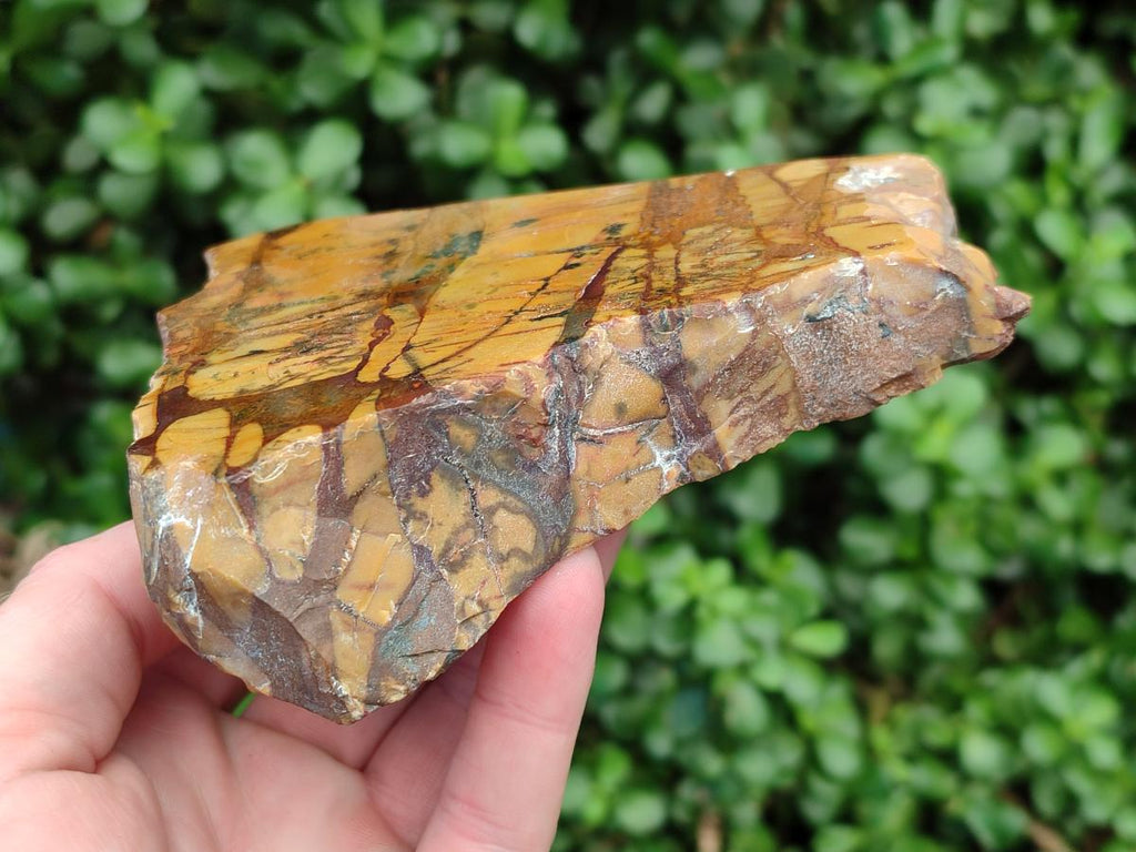 Polished On One Side Nguni Jasper Slices x 2 From Northern Cape, South Africa