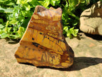 Polished On One Side Nguni Jasper Slices x 2 From Northern Cape, South Africa