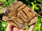 Polished On One Side Nguni Jasper Slices x 2 From Northern Cape, South Africa