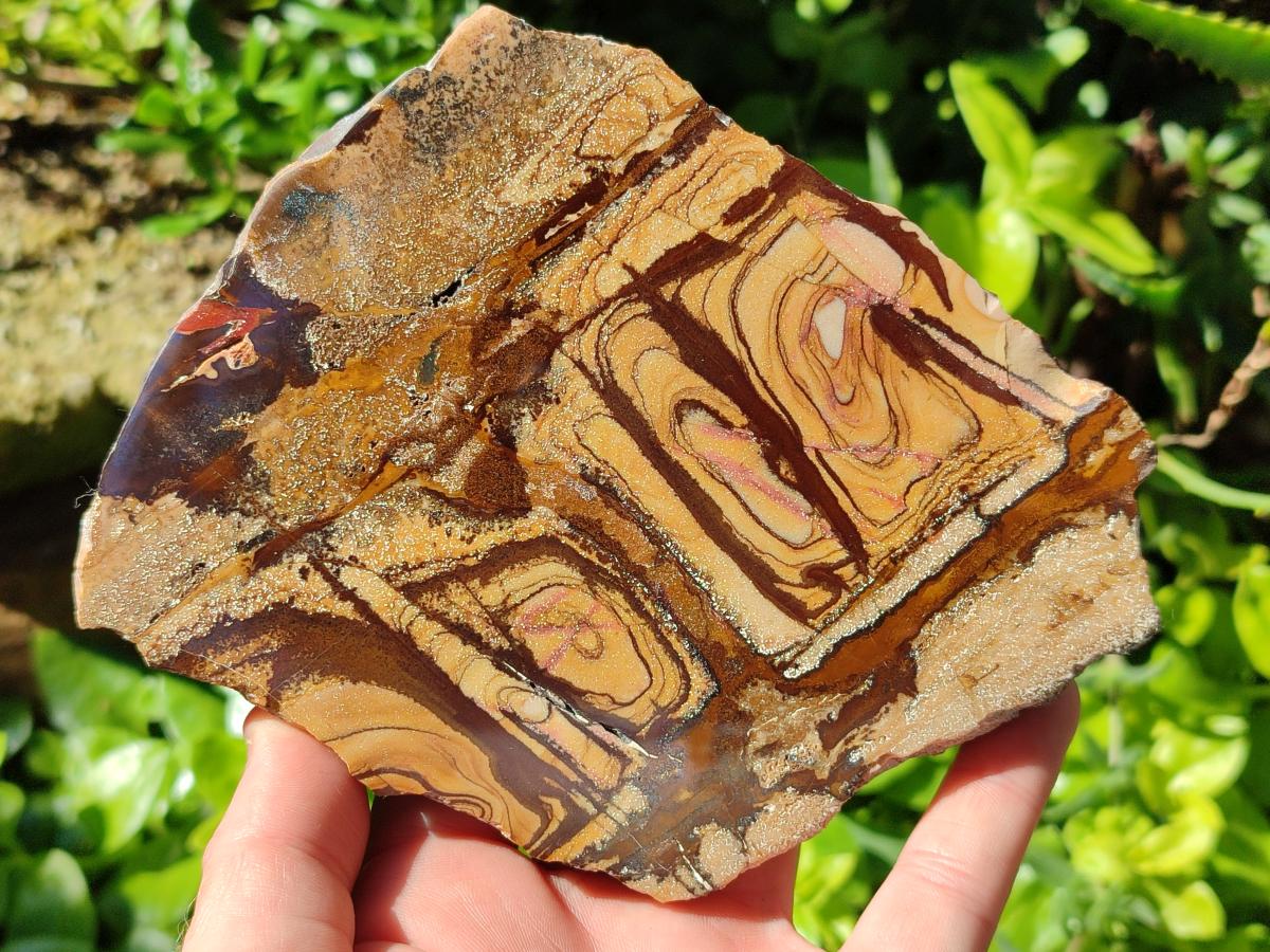 Polished On One Side Nguni Jasper Slices x 2 From Northern Cape, South Africa