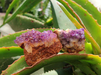 Natural Amethystos Amethyst Clusters x 37 From Kwaggafontein, South Africa