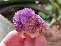Natural Amethystos Amethyst Clusters x 37 From Kwaggafontein, South Africa