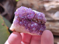 Natural Amethystos Amethyst Clusters x 37 From Kwaggafontein, South Africa