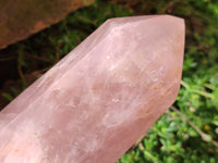 Polished Rose Quartz Crystals x 2 From Madagascar