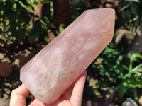 Polished Rose Quartz Crystals x 2 From Madagascar
