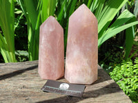 Polished Rose Quartz Crystals x 2 From Madagascar