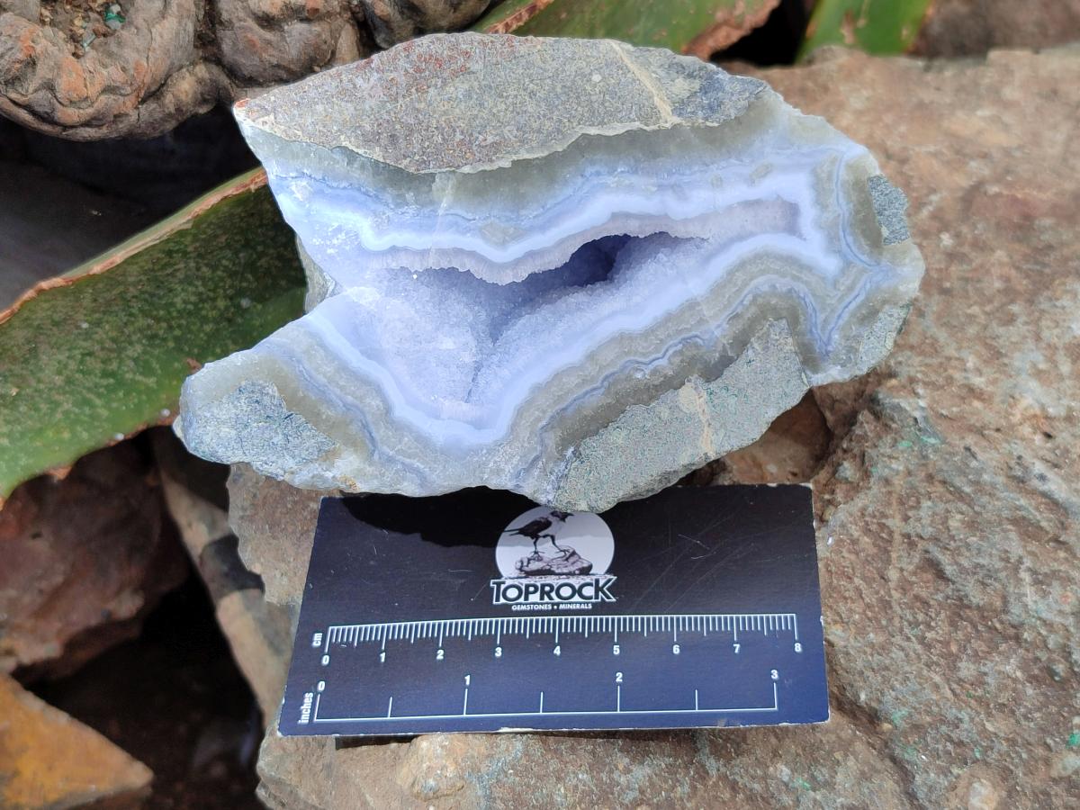 Polished On One Side Blue Lace Agate Geodes x 3 From Nsanje, Malawi