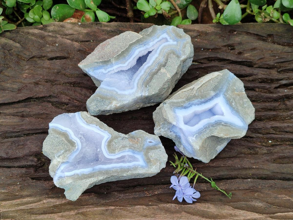 Polished On One Side Blue Lace Agate Geodes x 3 From Nsanje, Malawi