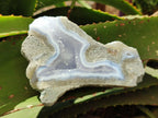 Polished On One Side Blue Lace Agate Geodes x 3 From Nsanje, Malawi