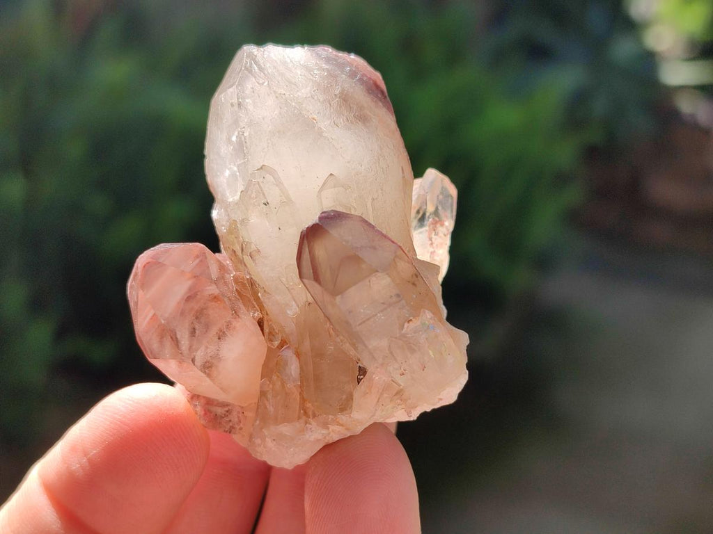 Natural Large Red Hematoid Quartz Crystals x 24 From Karoi, Zimbabwe