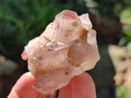 Natural Large Red Hematoid Quartz Crystals x 24 From Karoi, Zimbabwe
