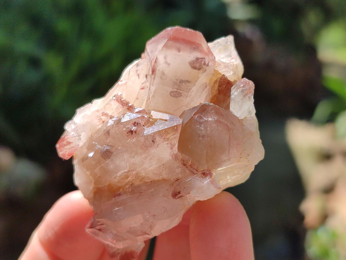 Natural Large Red Hematoid Quartz Crystals x 24 From Karoi, Zimbabwe