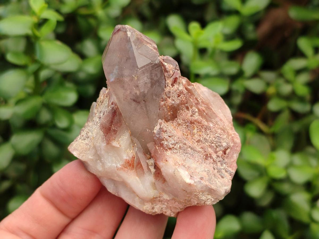 Natural Large Red Hematoid Quartz Crystals x 24 From Karoi, Zimbabwe