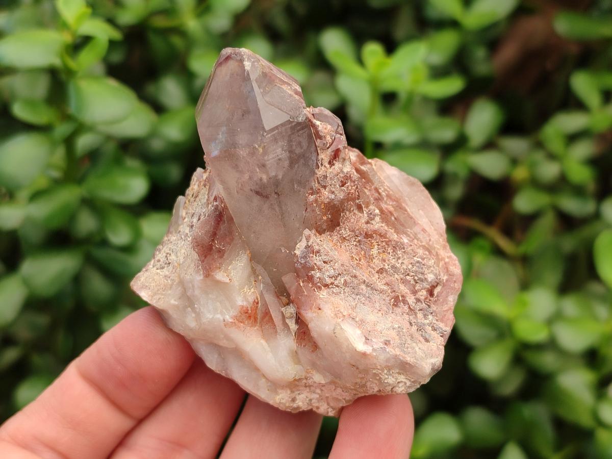 Natural Large Red Hematoid Quartz Crystals x 24 From Karoi, Zimbabwe