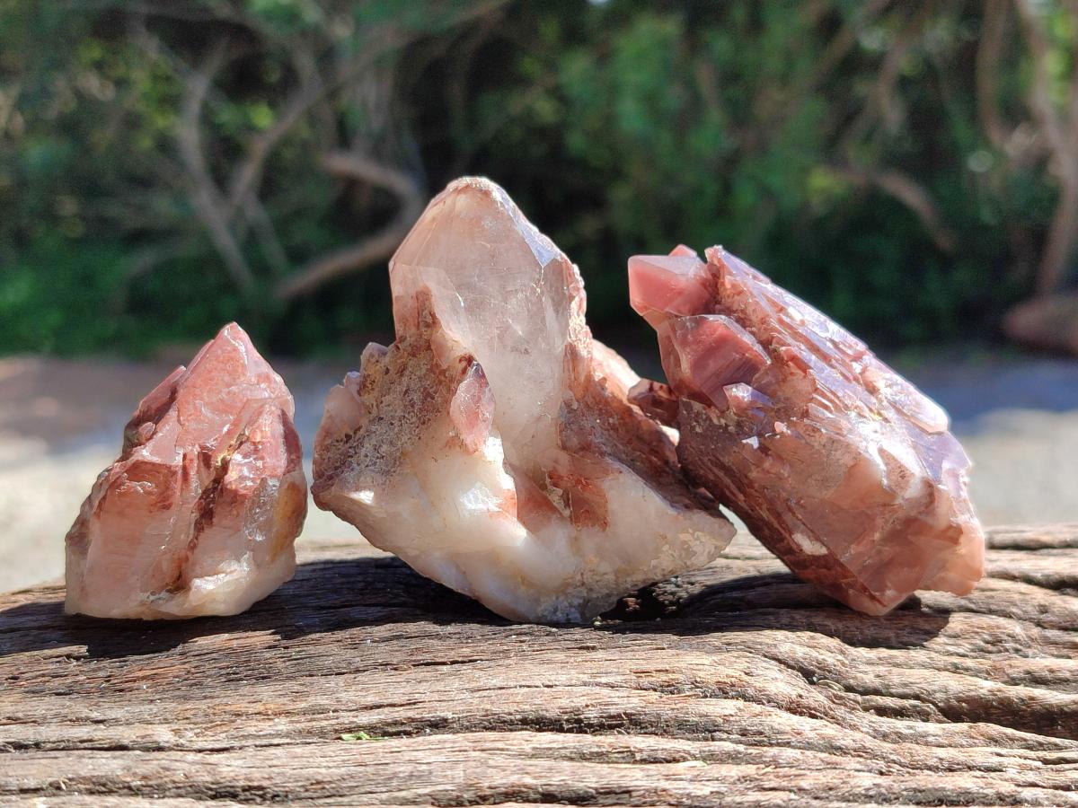 Natural Large Red Hematoid Quartz Crystals x 24 From Karoi, Zimbabwe