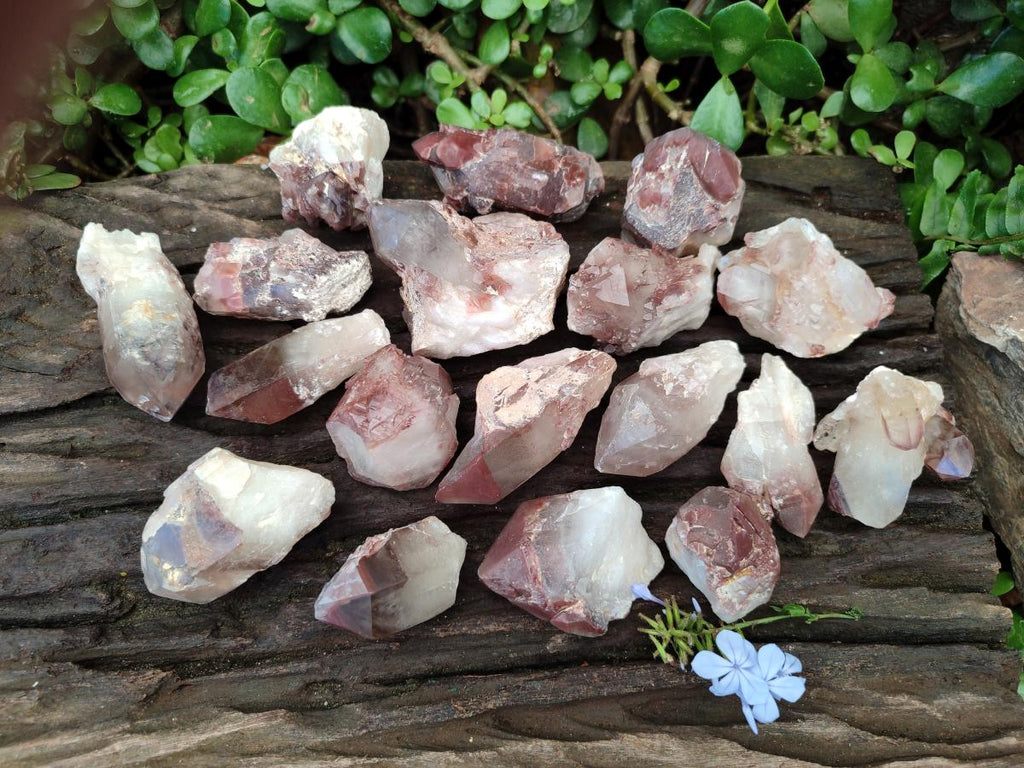Natural Large Red Hematoid Quartz Crystals x 24 From Karoi, Zimbabwe