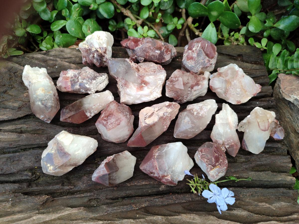 Natural Large Red Hematoid Quartz Crystals x 24 From Karoi, Zimbabwe