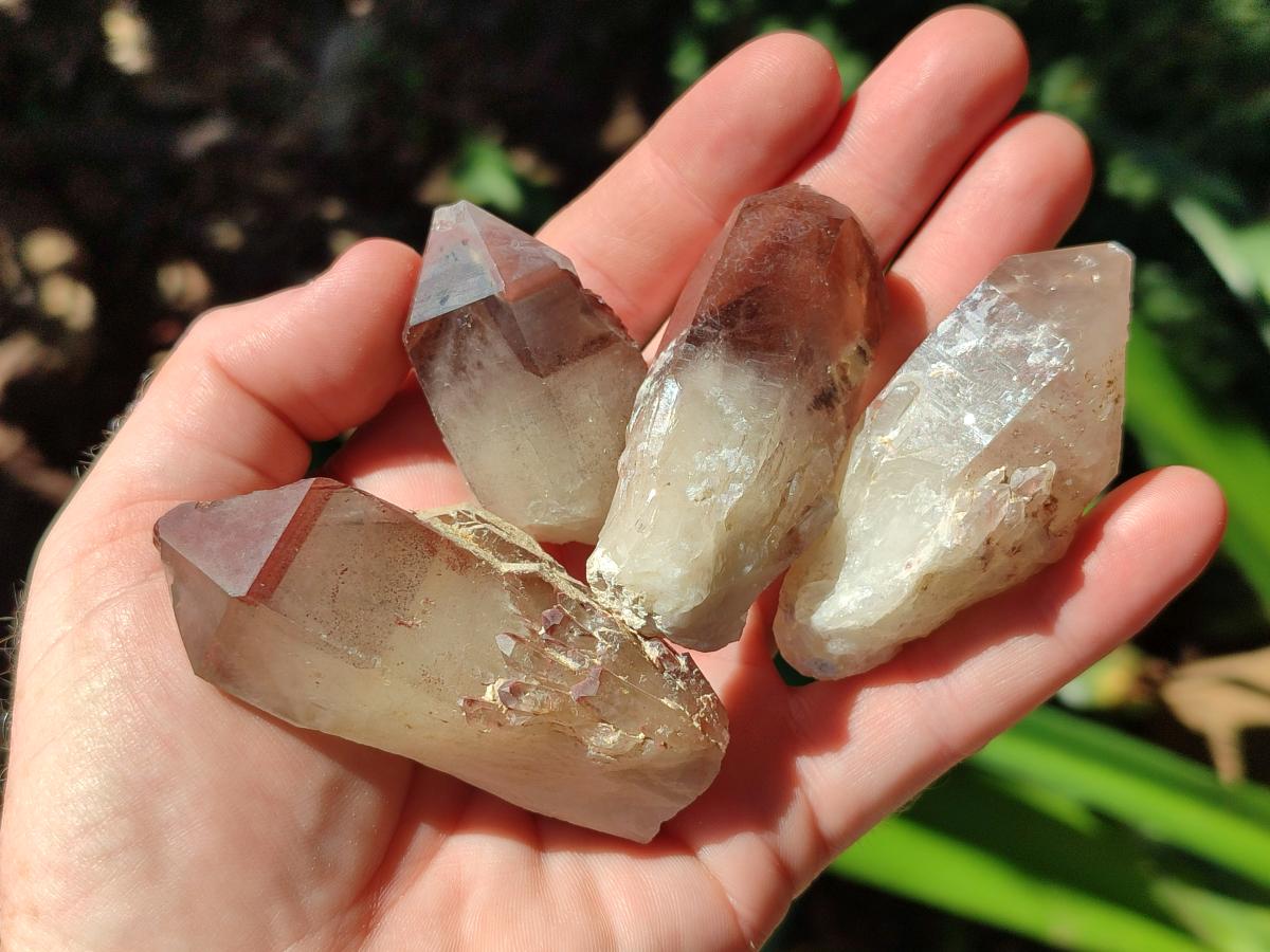 Natural Large Red Hematoid Quartz Crystals x 24 From Karoi, Zimbabwe