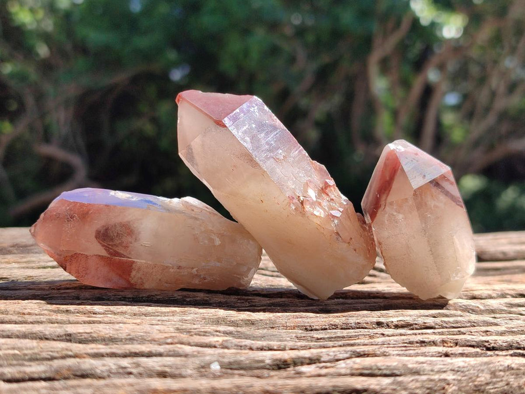 Natural Large Red Hematoid Quartz Crystals x 24 From Karoi, Zimbabwe
