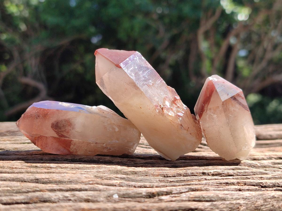 Natural Large Red Hematoid Quartz Crystals x 24 From Karoi, Zimbabwe
