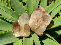 Natural Large Red Hematoid Quartz Crystals x 24 From Karoi, Zimbabwe