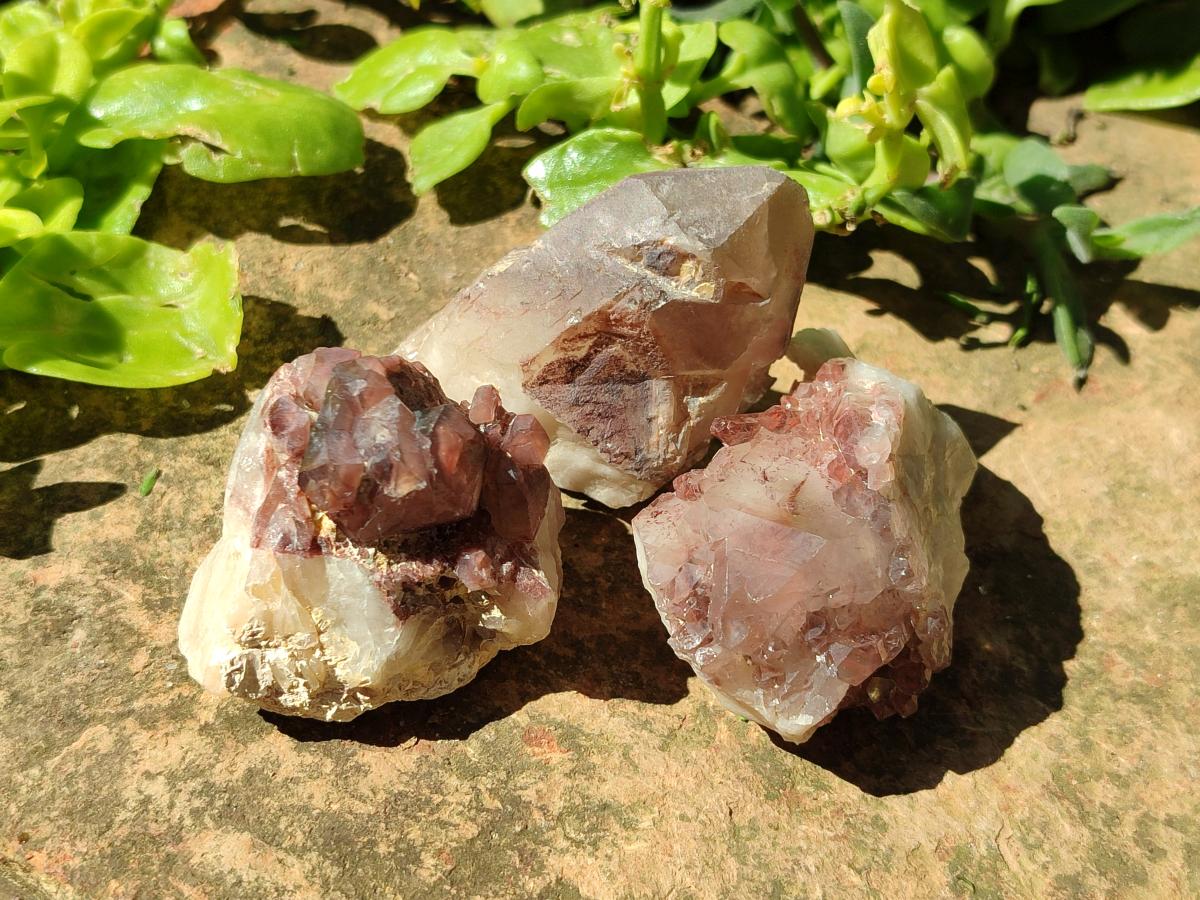 Natural Large Red Hematoid Quartz Crystals x 24 From Karoi, Zimbabwe