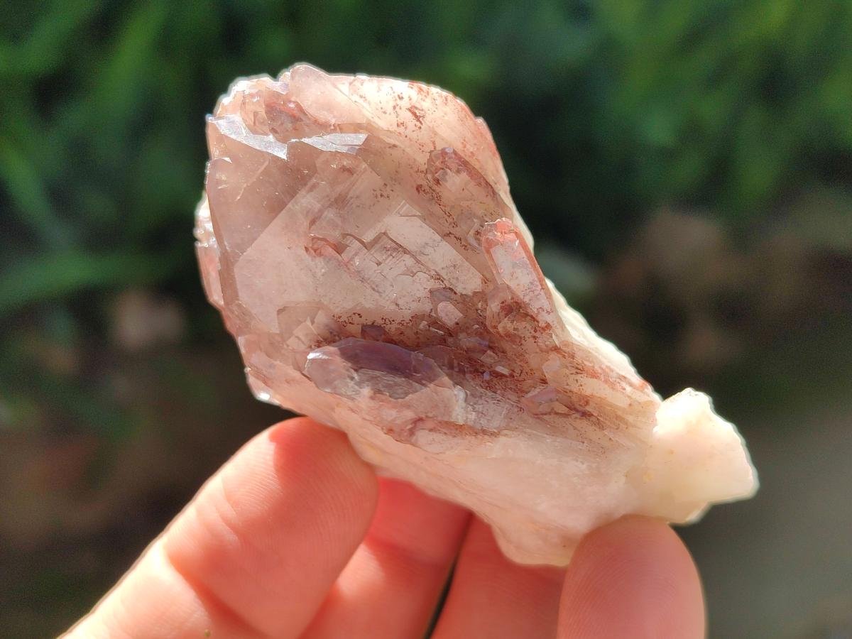 Natural Large Red Hematoid Quartz Crystals x 24 From Karoi, Zimbabwe