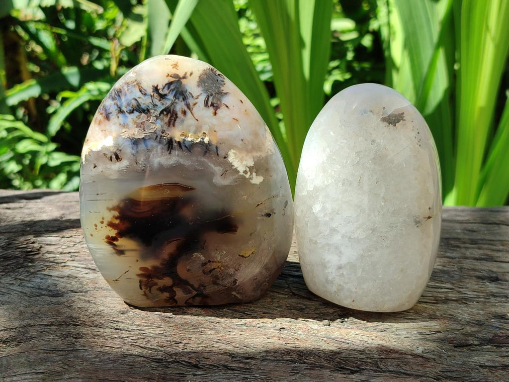 Polished Dendritic Agate Standing Free Forms x 3 From Moralambo, Madagascar