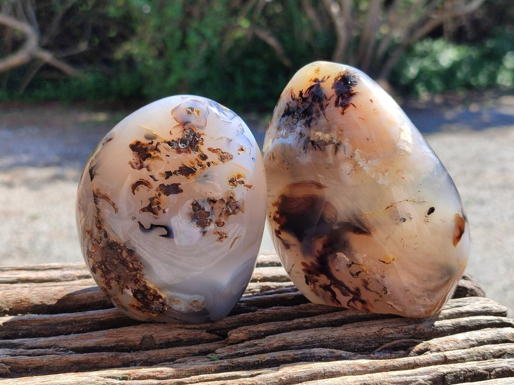 Polished Dendritic Agate Standing Free Forms x 3 From Moralambo, Madagascar
