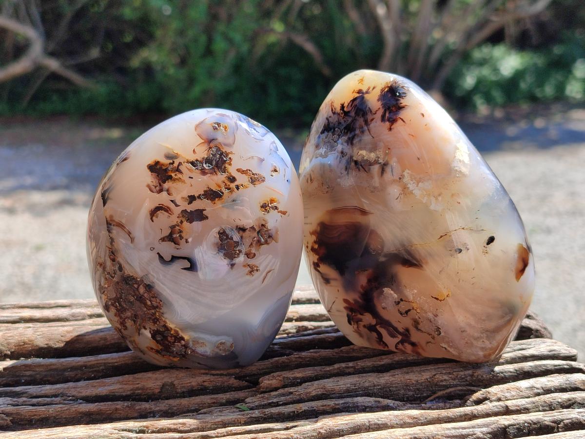 Polished Dendritic Agate Standing Free Forms x 3 From Moralambo, Madagascar