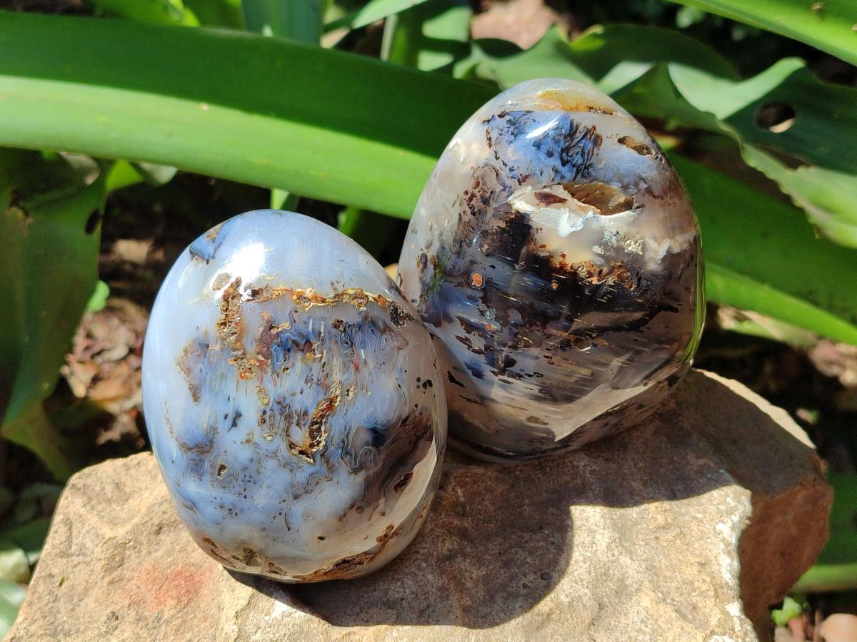 Polished Dendritic Agate Standing Free Forms x 3 From Moralambo, Madagascar