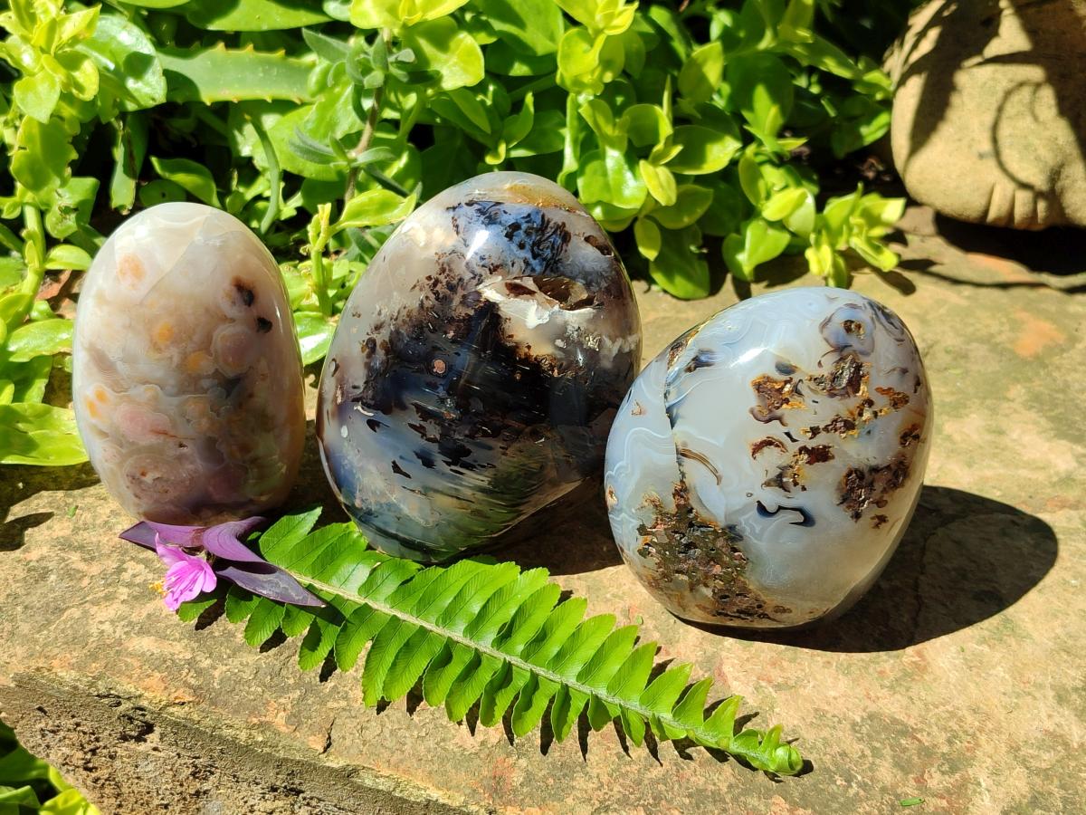 Polished Dendritic Agate Standing Free Forms x 3 From Moralambo, Madagascar