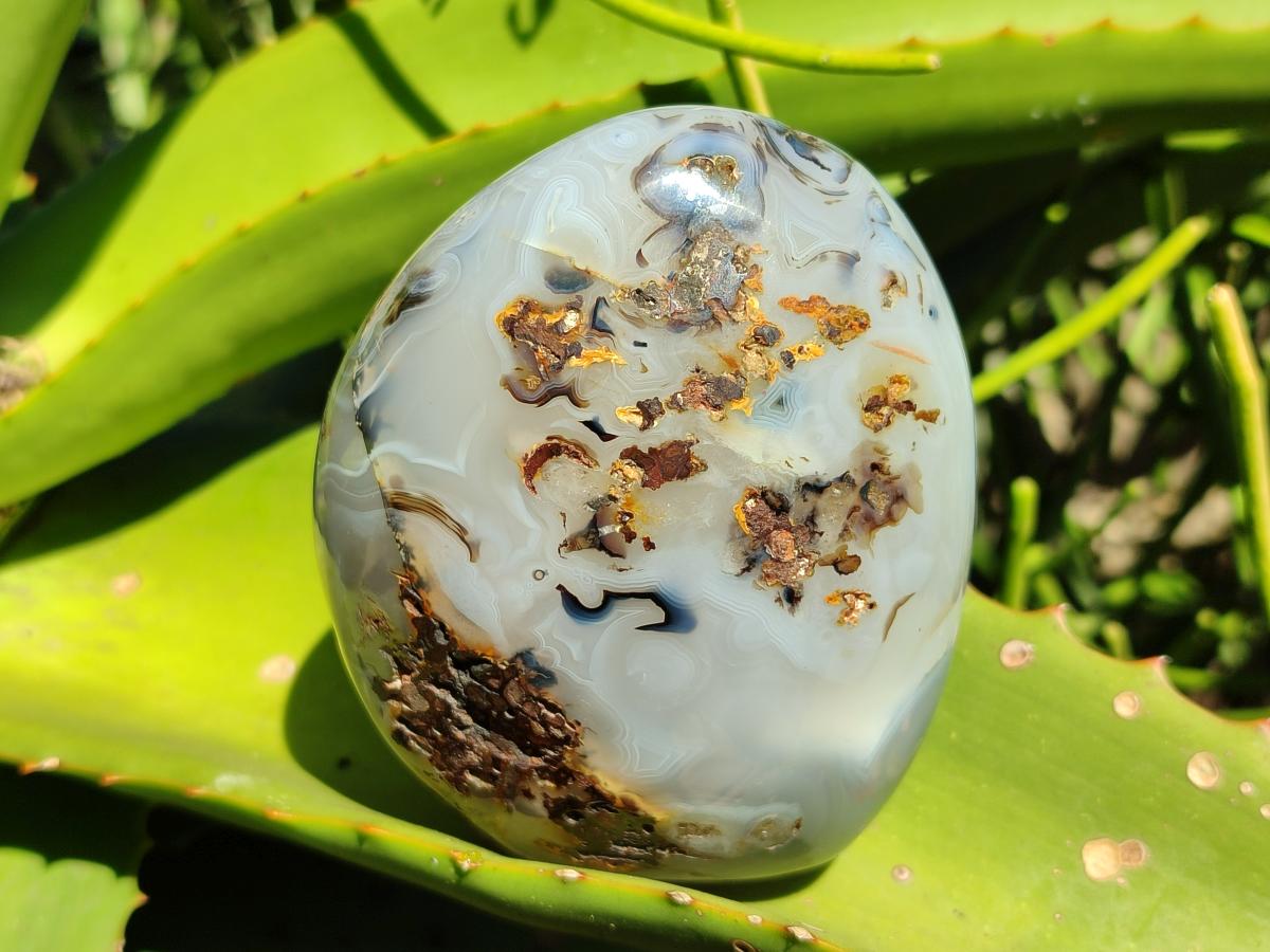 Polished Dendritic Agate Standing Free Forms x 3 From Moralambo, Madagascar