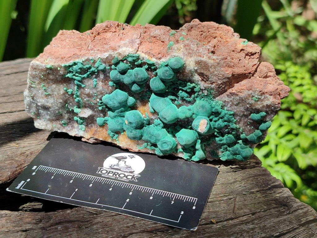 Natural Crystalline Ball Malachite and Quartz on Dolomite Specimens x 2 From Mindingi Mine, Kambove, Congo