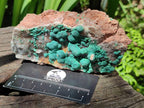 Natural Crystalline Ball Malachite and Quartz on Dolomite Specimens x 2 From Mindingi Mine, Kambove, Congo