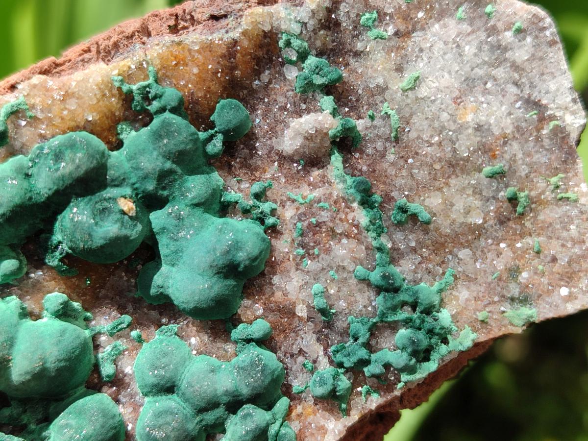 Natural Crystalline Ball Malachite and Quartz on Dolomite Specimens x 2 From Mindingi Mine, Kambove, Congo