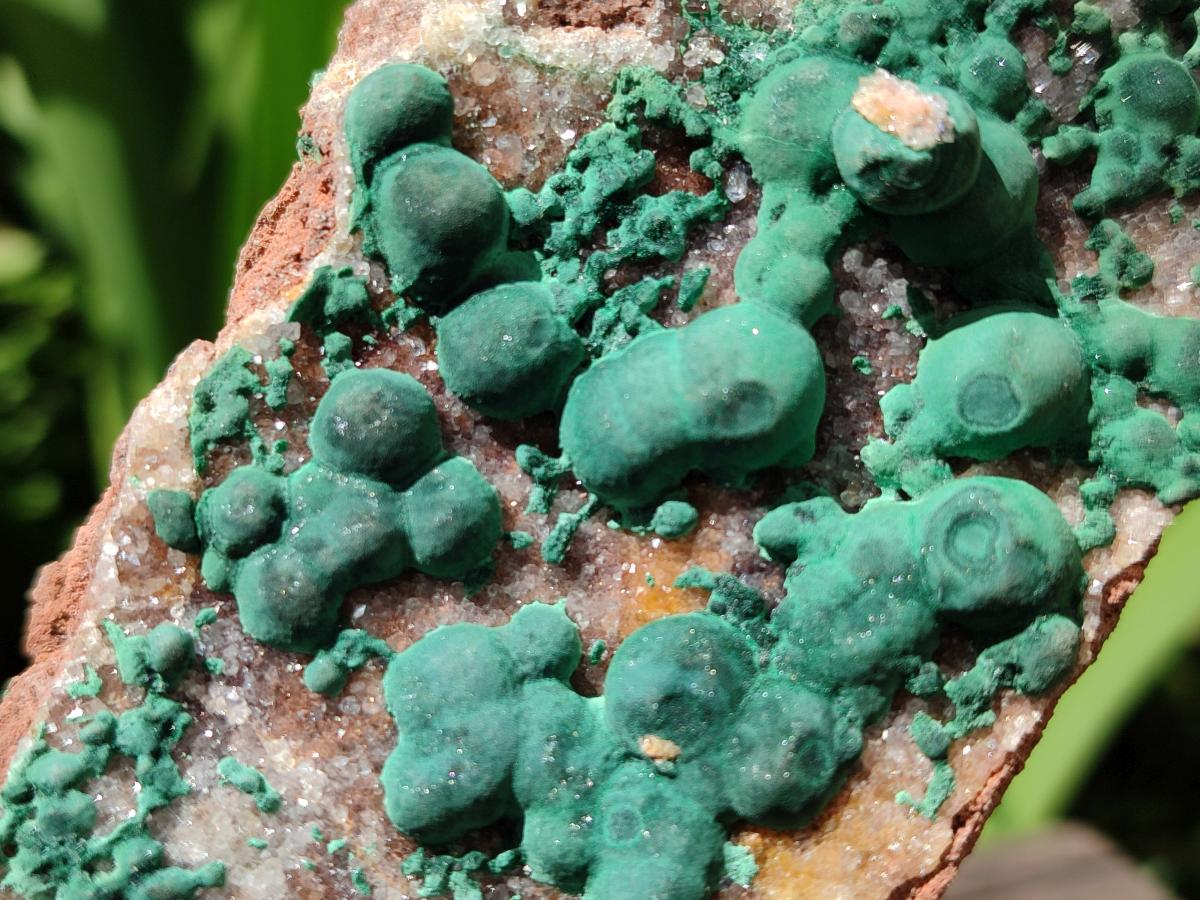 Natural Crystalline Ball Malachite and Quartz on Dolomite Specimens x 2 From Mindingi Mine, Kambove, Congo