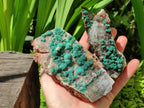 Natural Crystalline Ball Malachite and Quartz on Dolomite Specimens x 2 From Mindingi Mine, Kambove, Congo