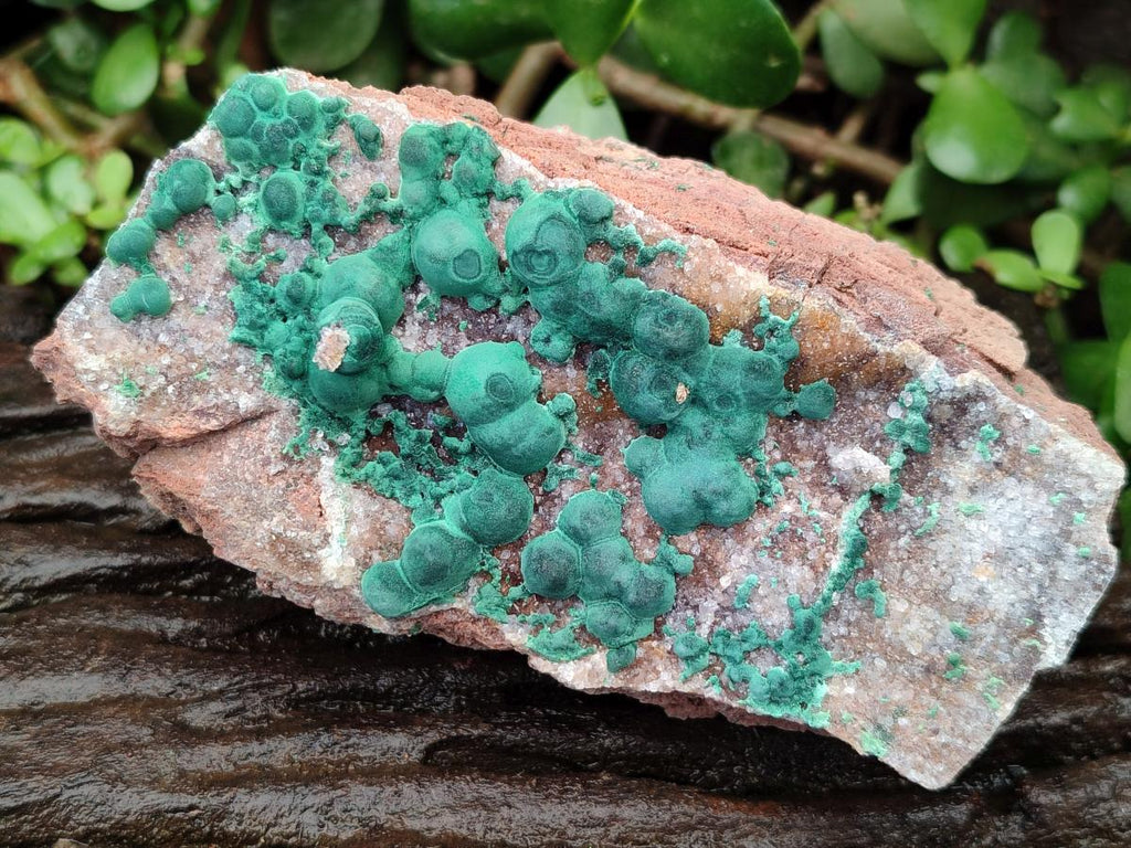 Natural Crystalline Ball Malachite and Quartz on Dolomite Specimens x 2 From Mindingi Mine, Kambove, Congo