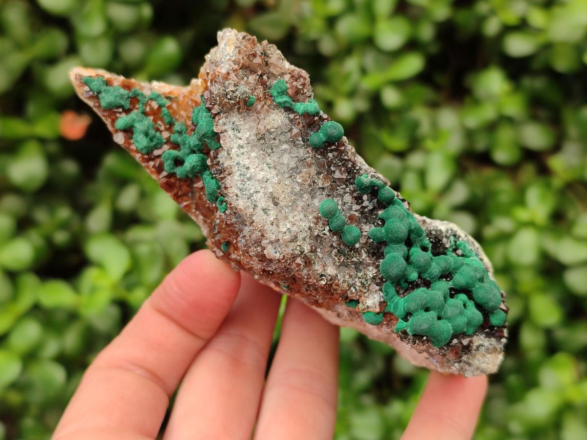 Natural Crystalline Ball Malachite and Quartz on Dolomite Specimens x 2 From Mindingi Mine, Kambove, Congo