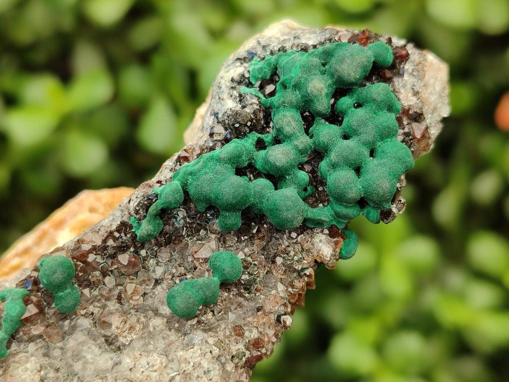 Natural Crystalline Ball Malachite and Quartz on Dolomite Specimens x 2 From Mindingi Mine, Kambove, Congo
