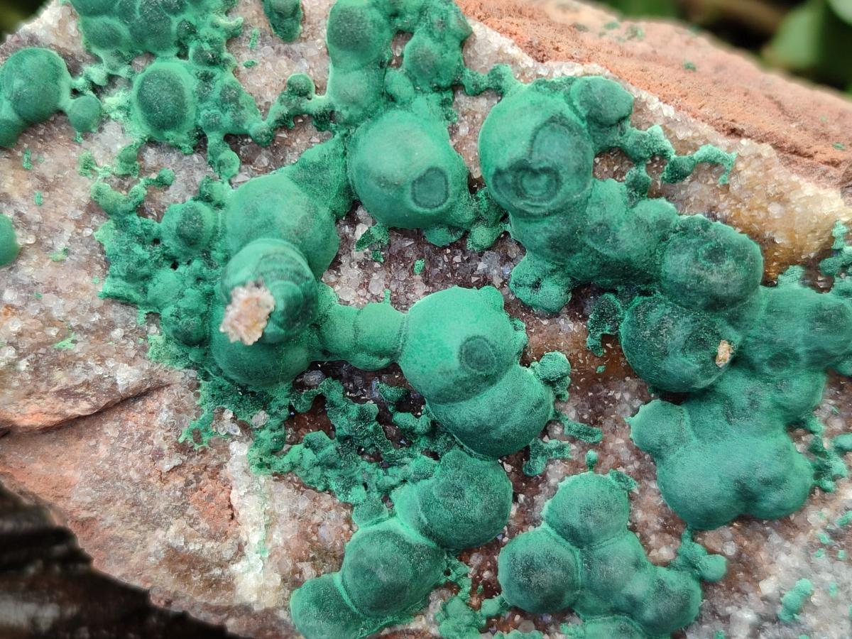 Natural Crystalline Ball Malachite and Quartz on Dolomite Specimens x 2 From Mindingi Mine, Kambove, Congo