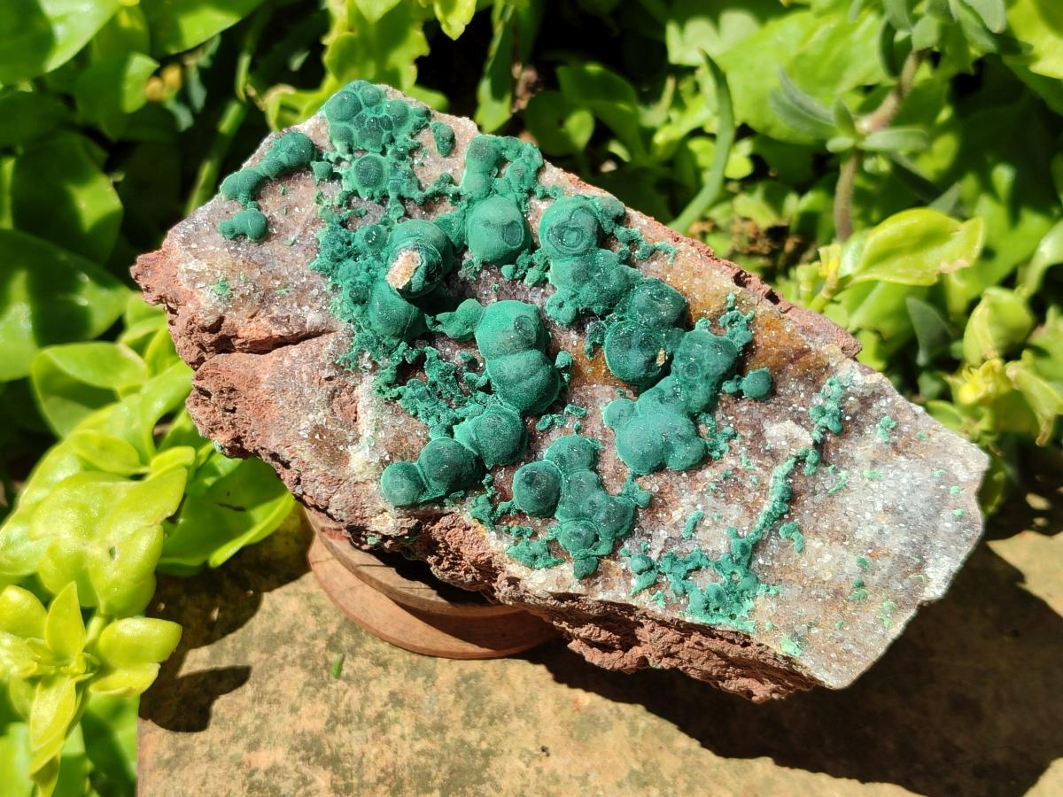 Natural Crystalline Ball Malachite and Quartz on Dolomite Specimens x 2 From Mindingi Mine, Kambove, Congo