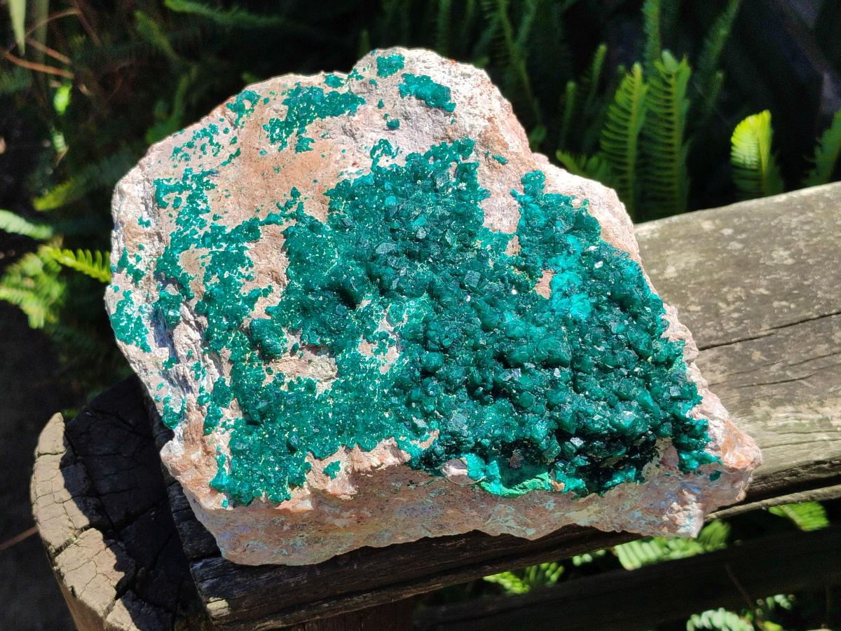 Natural XL Dioptase On Dolomite Specimen x 1 From Likasi, Congo