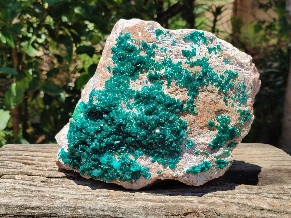 Natural XL Dioptase On Dolomite Specimen x 1 From Likasi, Congo