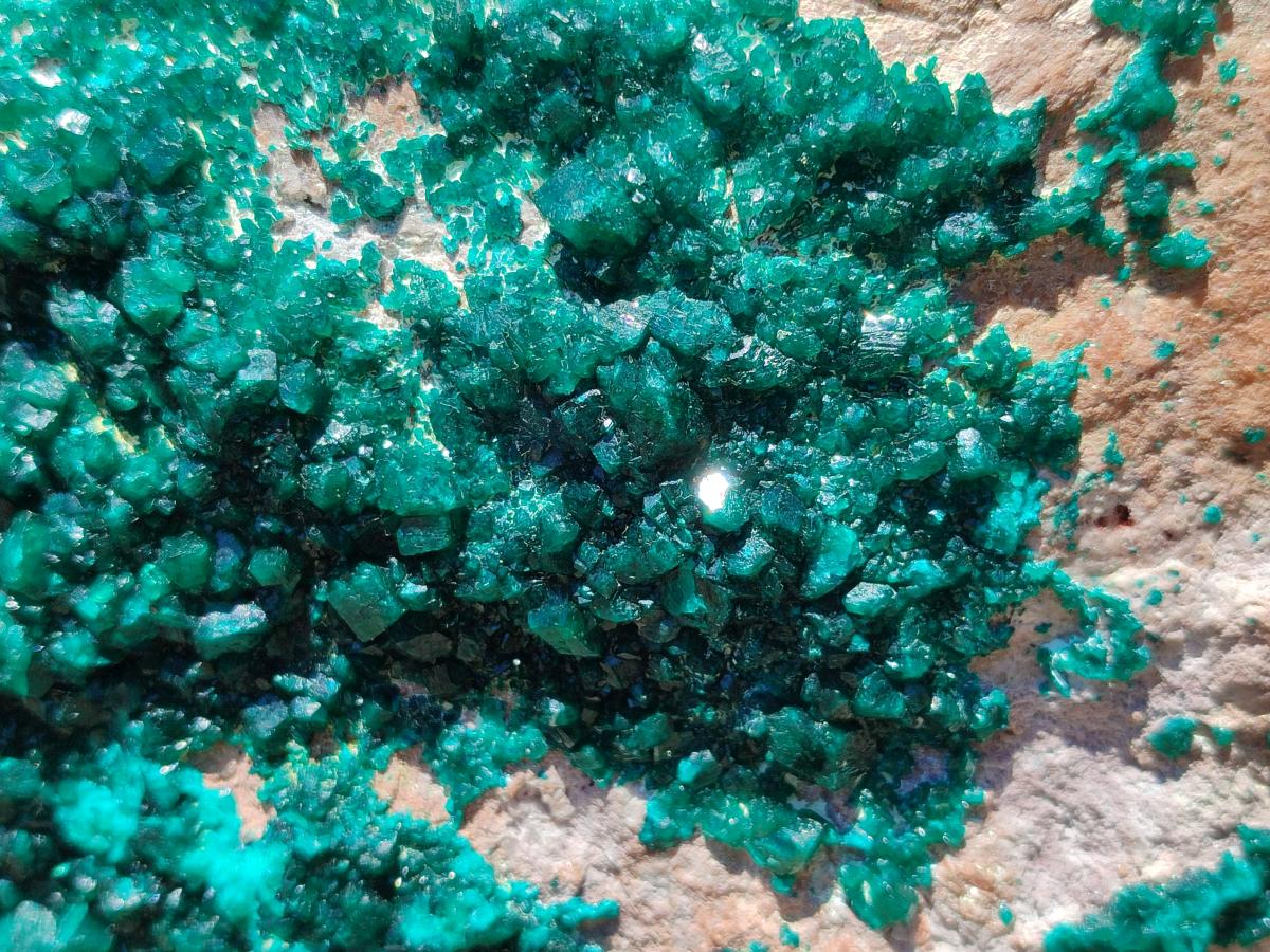 Natural XL Dioptase On Dolomite Specimen x 1 From Likasi, Congo