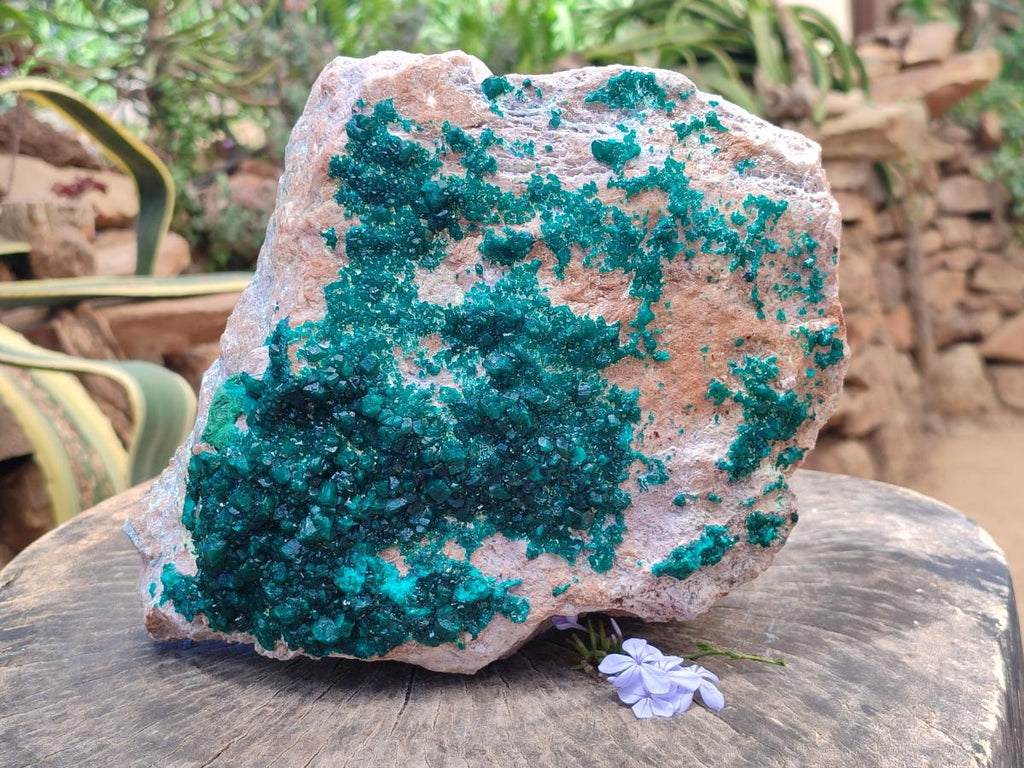 Natural XL Dioptase On Dolomite Specimen x 1 From Likasi, Congo